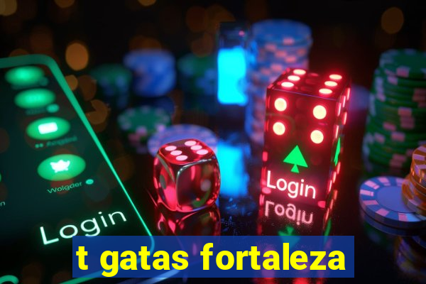 t gatas fortaleza